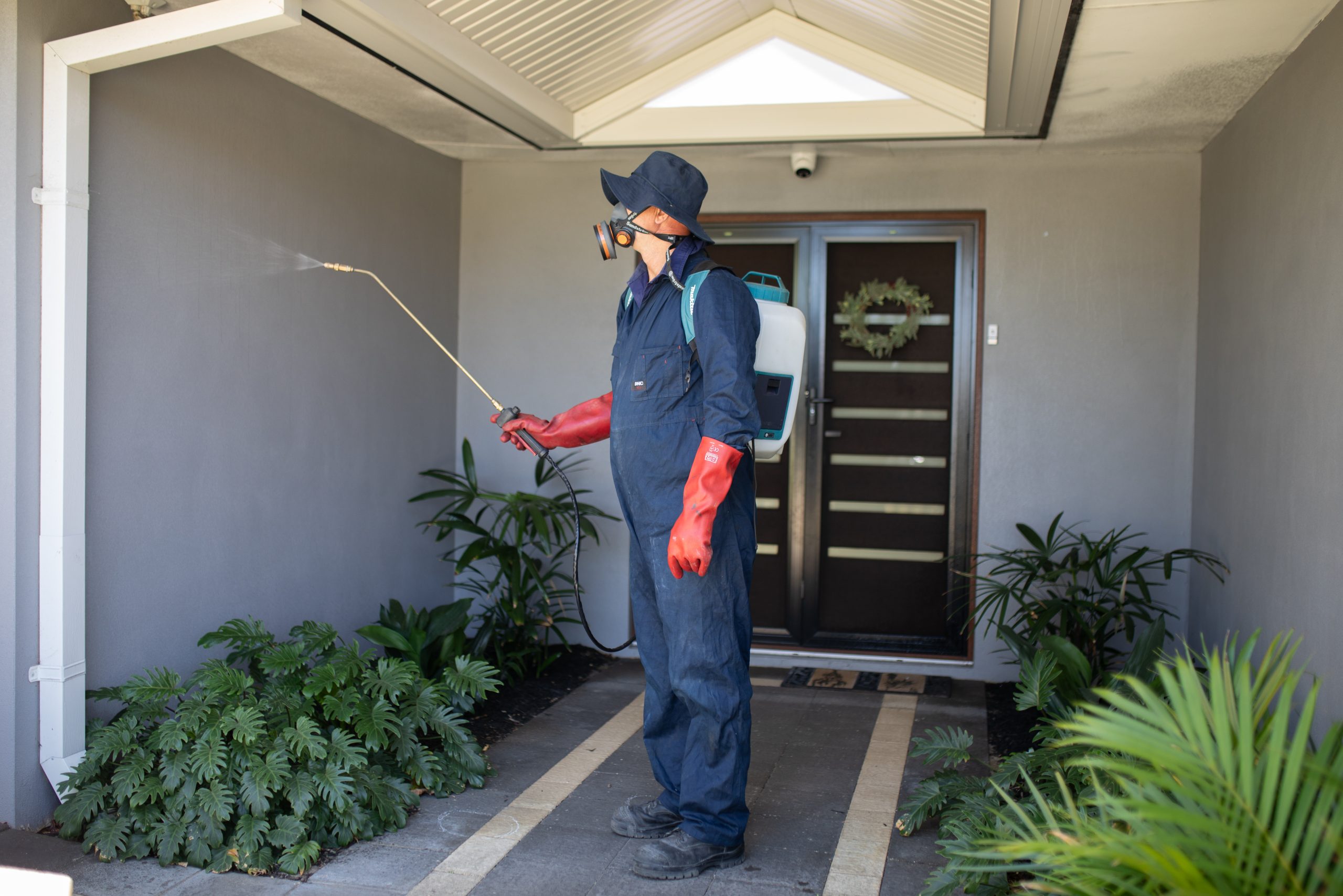 Professional pest control spraying home exterior.
