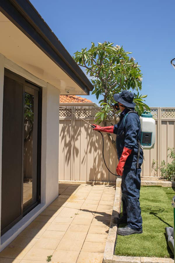 Exterminator spraying outside house for pests.