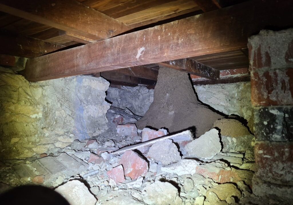 Termite Mound Under Subfloor in Perth Home