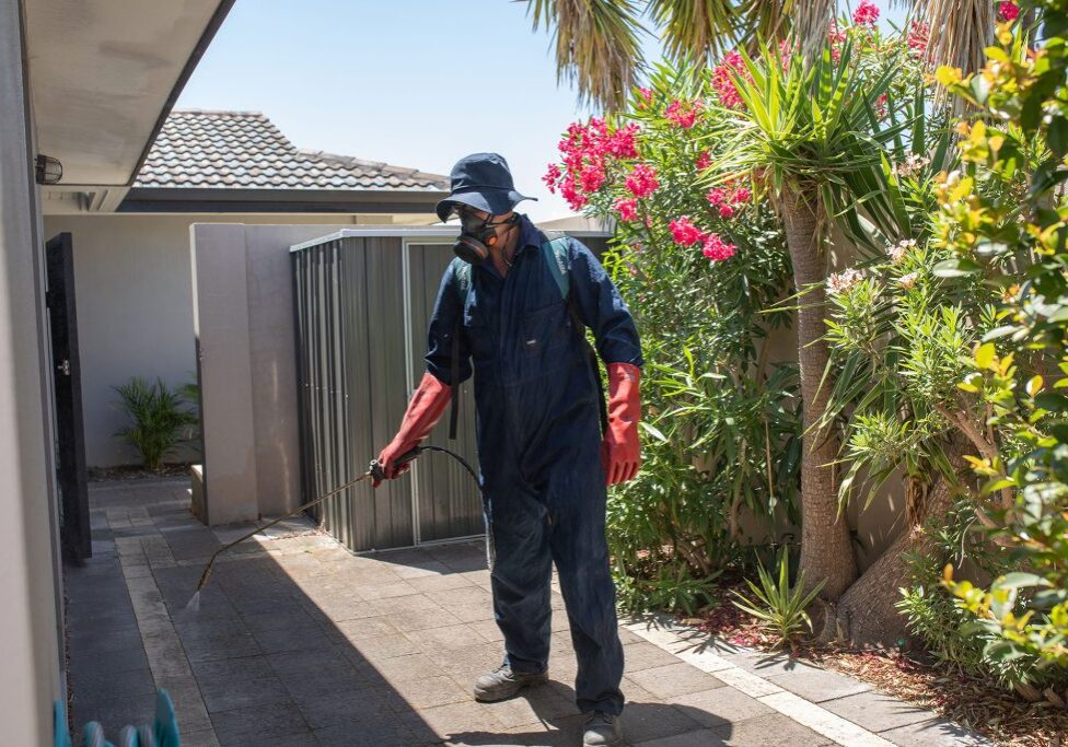 Pest control worker spraying outdoors near shed.
