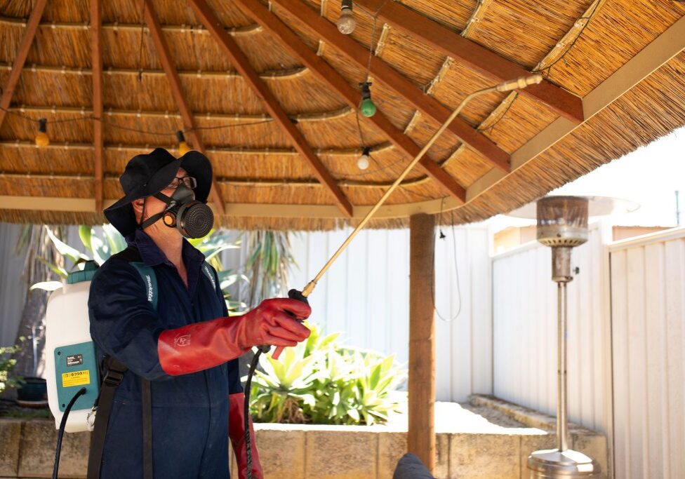 Worker spraying insecticide under thatched patio roof.