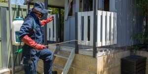 Worker spraying pesticides on a wooden house.
