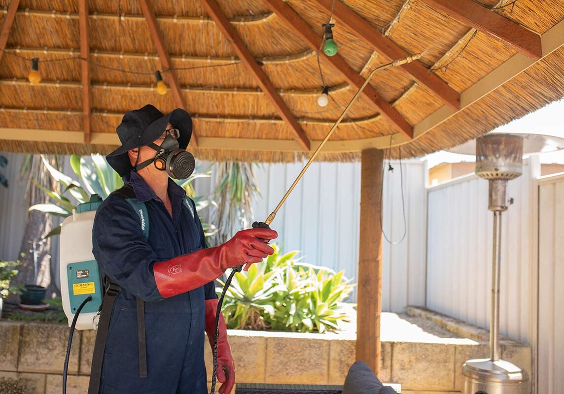 SURE Pest control technician spraying outside for pests