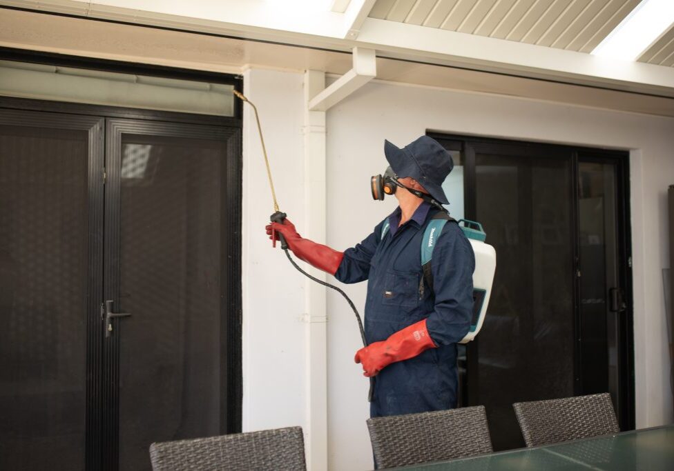Pest control professional spraying around house exterior.