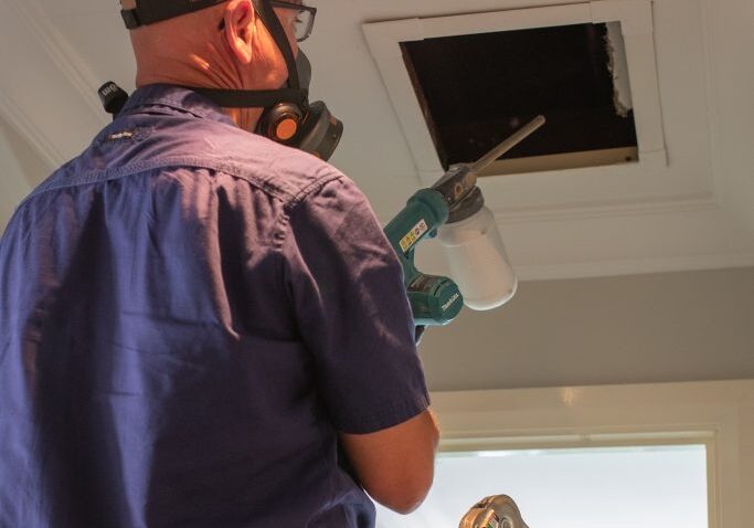Professional pest control spraying home interior.