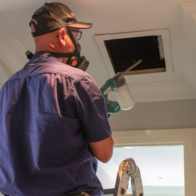 Professional pest control spraying home interior.
