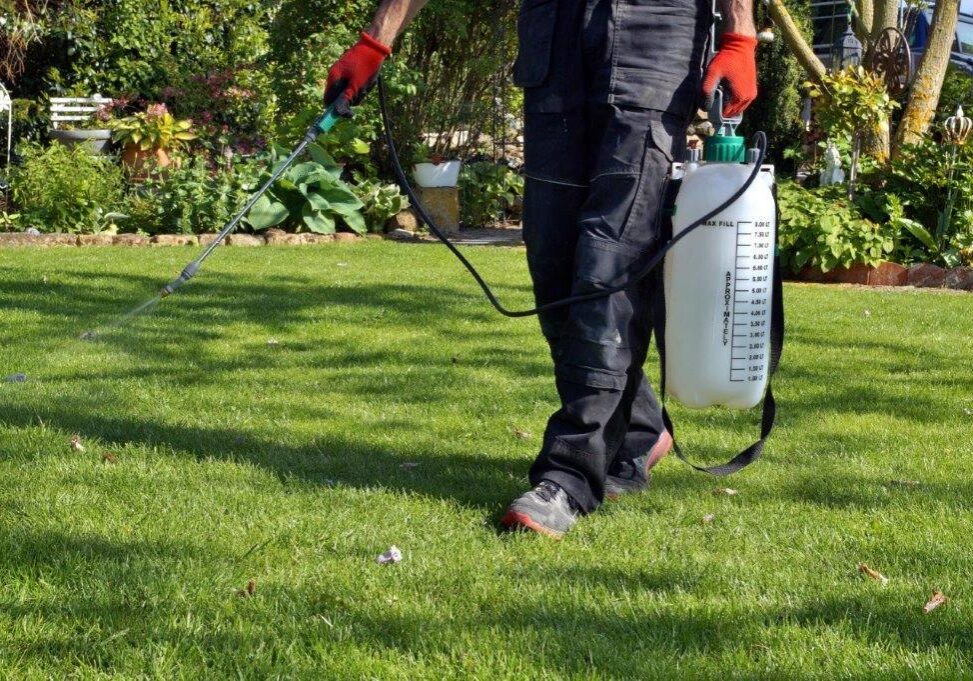 pest technician spraying for weed control